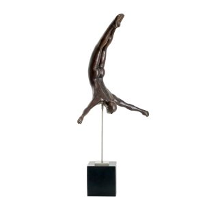 Swan Diver Male