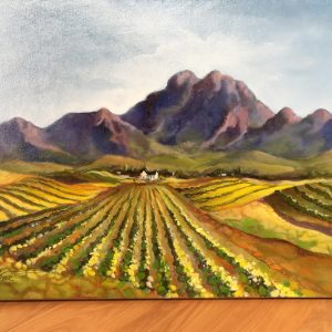 LAN0004 Stellenbosch Vineyards II