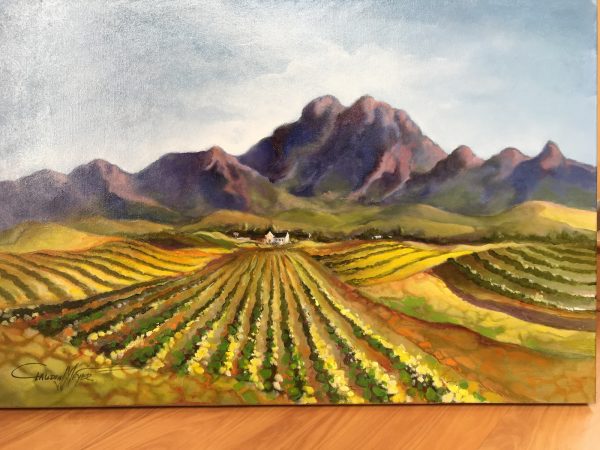 LAN0004 Stellenbosch Vineyards II