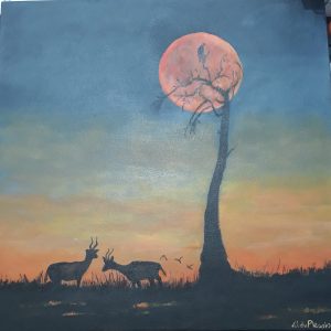 LAN0023 Sunset