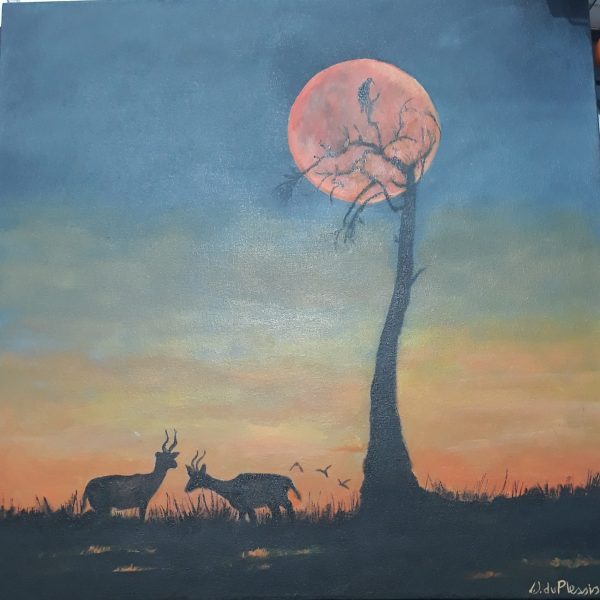 LAN0023 Sunset