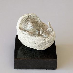 Hedgehog