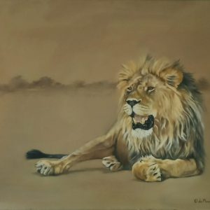 ANI0088 Mannes Lion