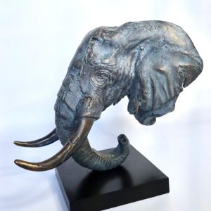 Elephant Head