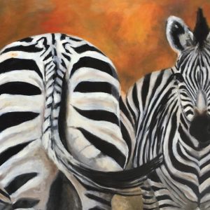 ANI0137 Backwards Zebra