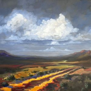 LAN0061 Karoo Landscape