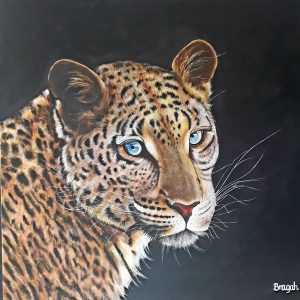 ANI0148 Spotty Cat
