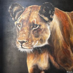 ANI0152 Lioness