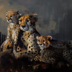 ANI0155 Cheetah and Cubs