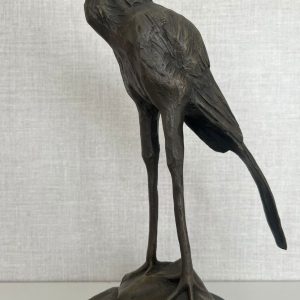 Secretary Bird