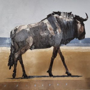 ANI0178 Buffalo