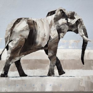 ANI0175 Elephant