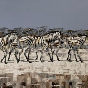 ANI0181 Zebras