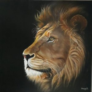 ANI0187 Lion