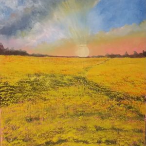 LAN0090 Canola